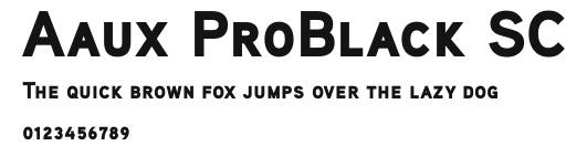 Aaux ProBlack SC Preview