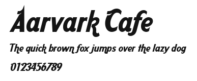 Aarvark Cafe Preview