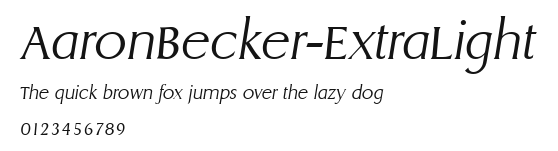 AaronBecker-ExtraLight Preview
