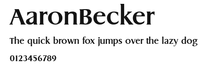 AaronBecker Preview