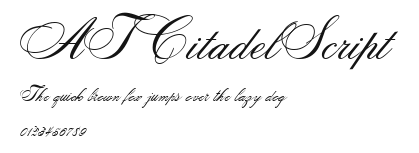 ATCitadelScript Preview