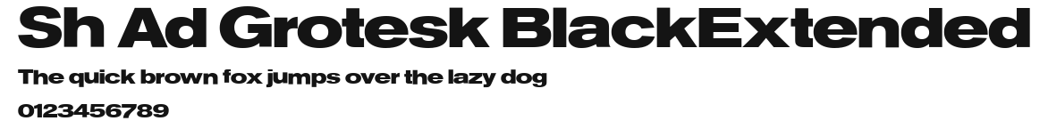 Sh Ad Grotesk BlackExtended.ttf