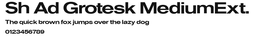 Sh Ad Grotesk MediumExt. Preview