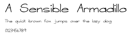 A Sensible Armadillo Preview