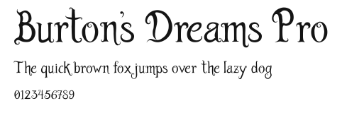 Burton's Dreams Pro.ttf
