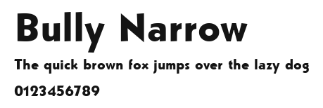 Bully Narrow.ttf