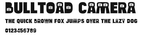 Bulltoad Camera.ttf