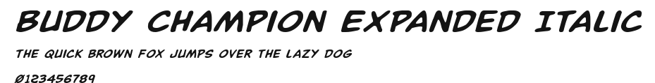 Buddy Champion Expanded Italic.ttf
