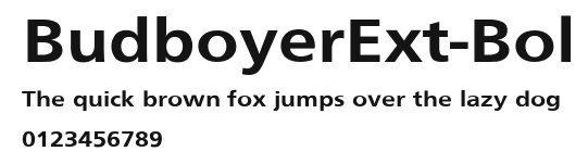 BudboyerExt-Bol.ttf