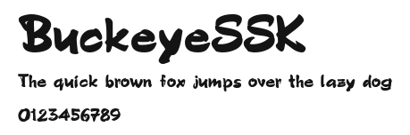 BuckeyeSSK Preview