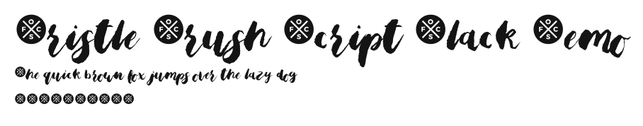 Bristle Brush Script Black Demo.ttf