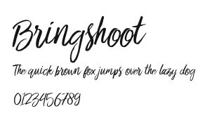 Bringshoot.ttf