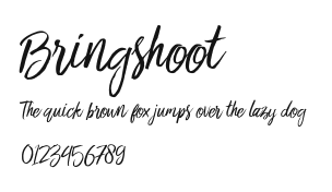 Bringshoot.otf