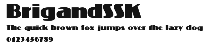 BrigandSSK Preview
