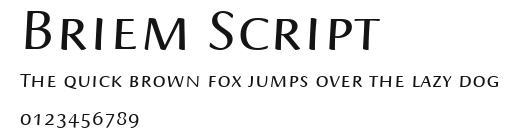 Briem Script Preview