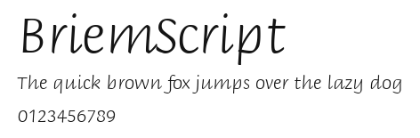 BriemScript Preview
