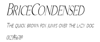BriceCondensed.ttf