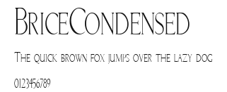 BriceCondensed.ttf