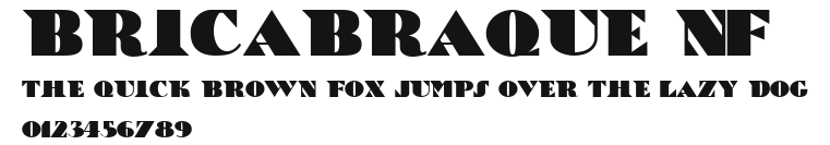 BricaBraque NF.ttf