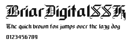 BriarDigitalSSK.ttf