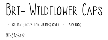 Bri- Wildflower Caps.ttf