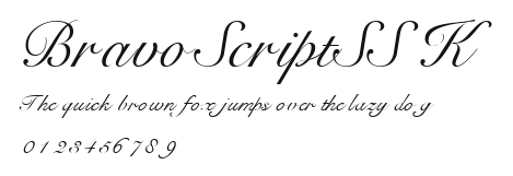 BravoScriptSSK Preview