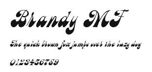 Brandy MF Preview