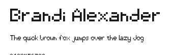 Brandi Alexander.ttf