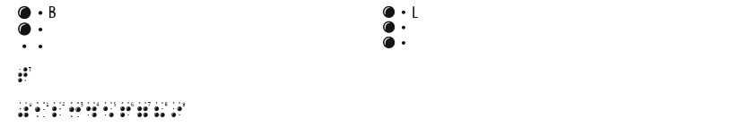 BrailleLatin.ttf