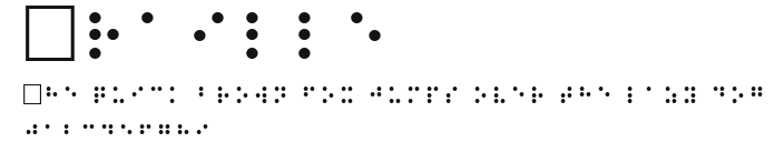 Braille.ttf