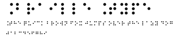 Braille Type.ttf