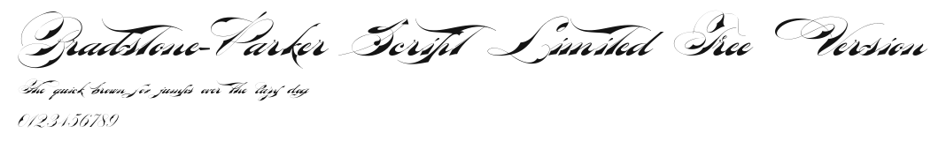 Bradstone-Parker Script Limited Free Version.ttf