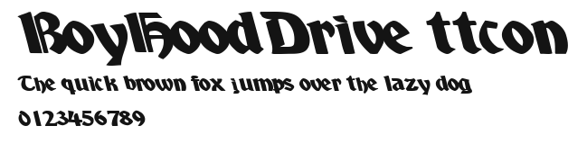 BoyHoodDrive ttcon Preview