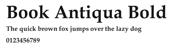 Book Antiqua Bold.ttf