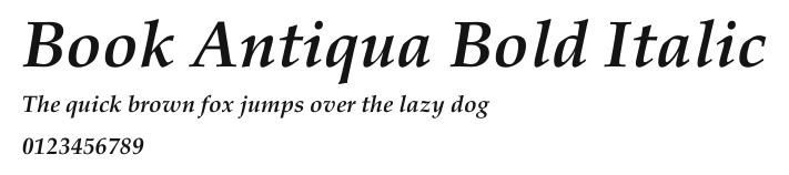 Book Antiqua Bold Italic.ttf