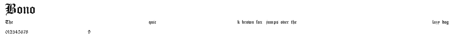 Bono Preview
