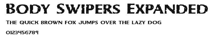 Body Swipers Expanded Preview