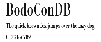 BodoConDB Preview