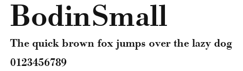 BodinSmall Preview