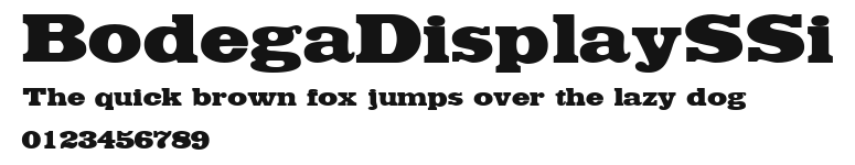 BodegaDisplaySSi Preview