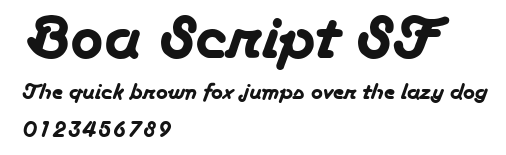 Boa Script SF Preview