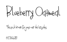 Blueberry Oatmeal.ttf
