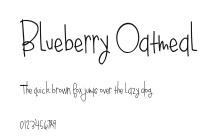 Blueberry Oatmeal.ttf