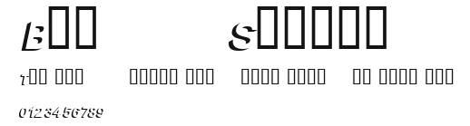 Block Shadow.ttf