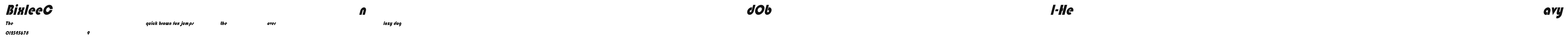 BixleeCndObl-Heavy.ttf