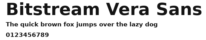 Bitstream Vera Sans.ttf