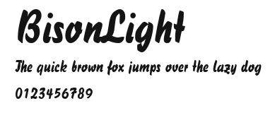 BisonLight Preview