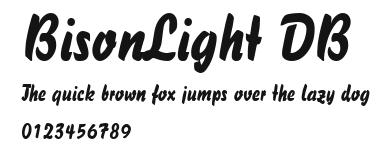 BisonLight DB Preview
