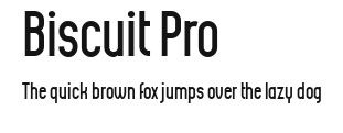 Biscuit Pro Preview