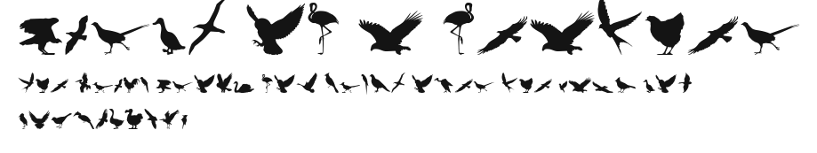 Birds of a Feather Preview